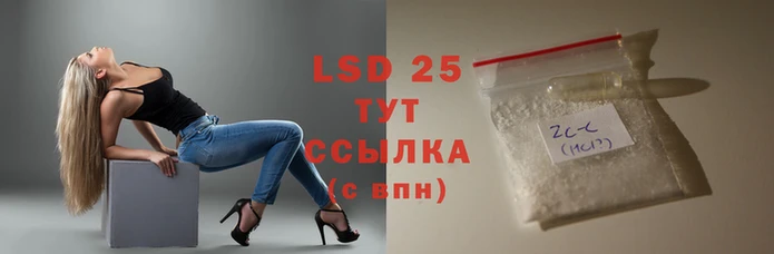 прущие крисы Каменногорск