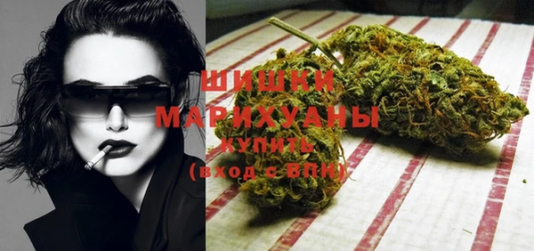 тгк Касимов
