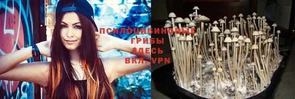 прущие крисы Каменногорск