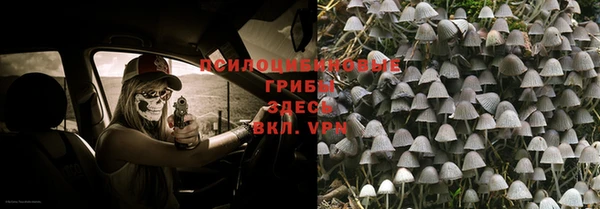 кокаин Каменка