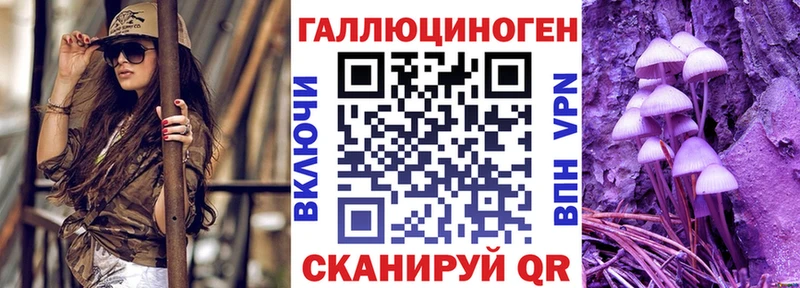 Купить закладки  Темников  Галлюциногенные грибы Cubensis 