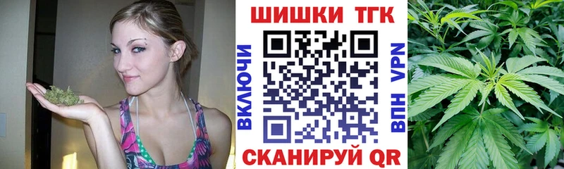 Купить закладки  Темников  МАРИХУАНА сатива 